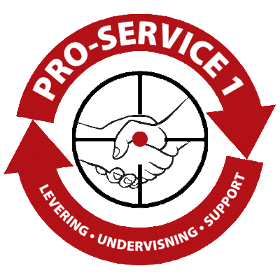 pro-service 1
