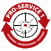 pro-service 1