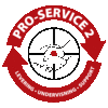 pro-service 2